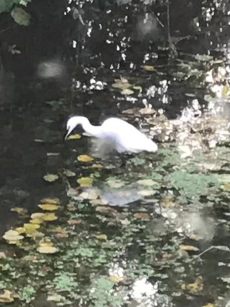 Reveil Aux Chants Des Oiseaux Asse-le-Riboul エクステリア 写真