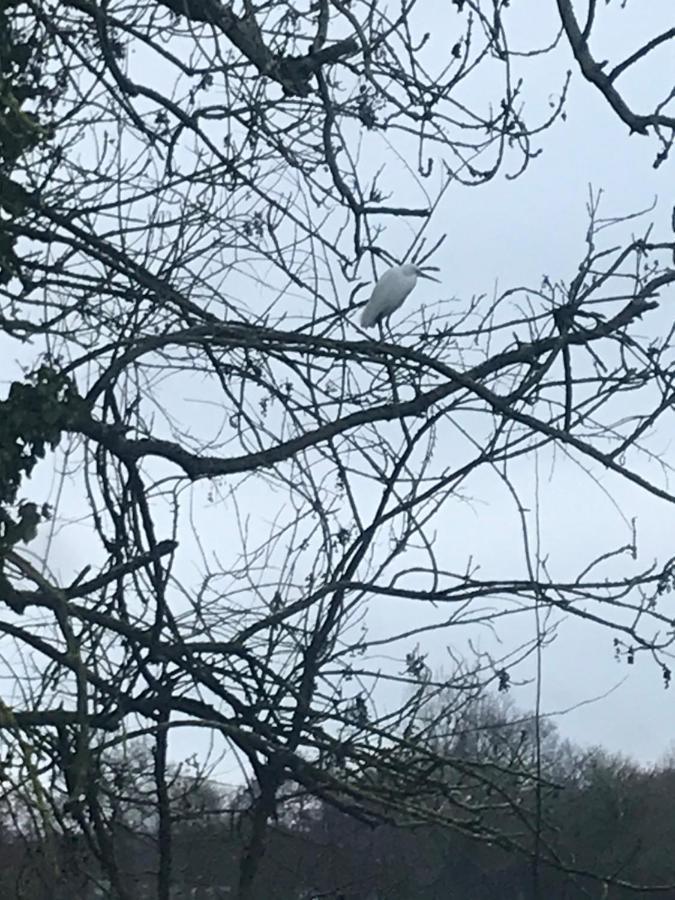 Reveil Aux Chants Des Oiseaux Asse-le-Riboul エクステリア 写真
