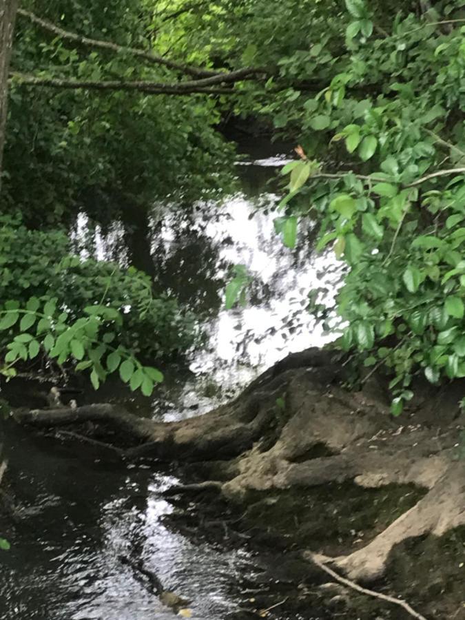 Reveil Aux Chants Des Oiseaux Asse-le-Riboul エクステリア 写真