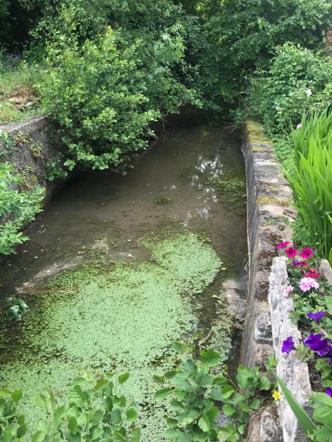 Reveil Aux Chants Des Oiseaux Asse-le-Riboul エクステリア 写真